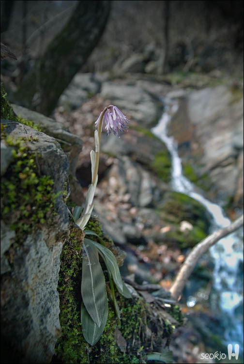 DSCF7509.jpg