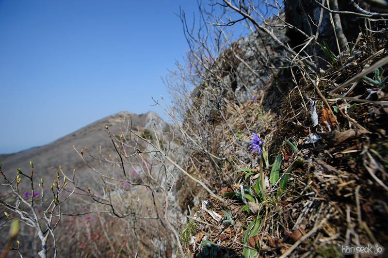 HSJ_9462.jpg