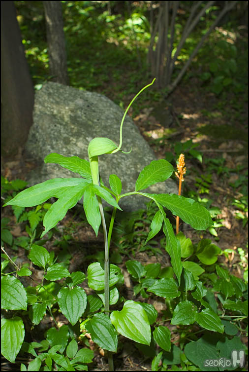 DSCF6944.jpg