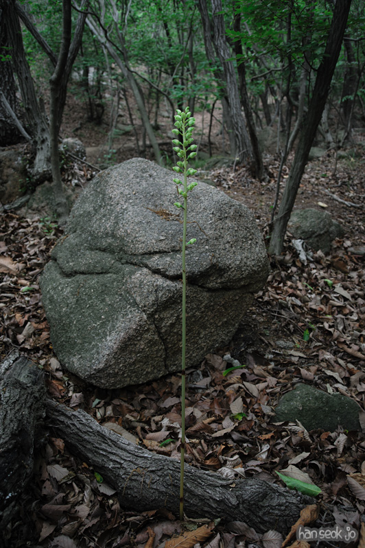 HSJ_3883.jpg