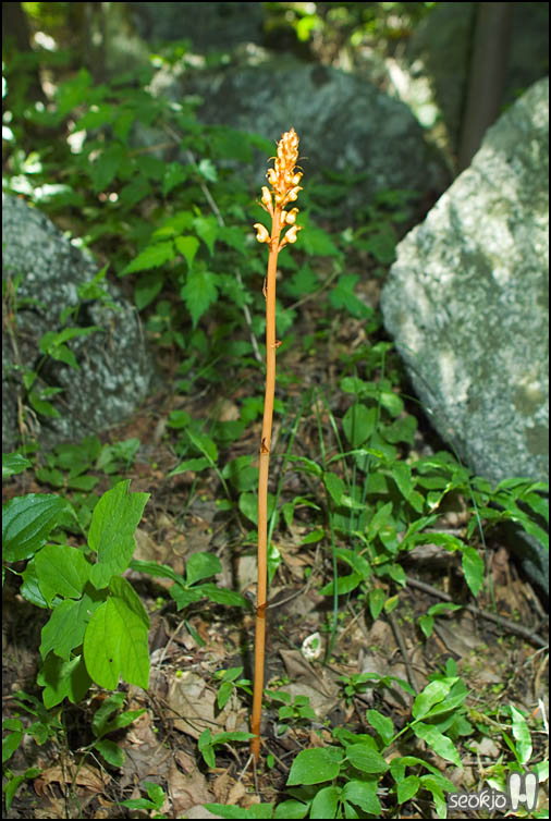 DSCF6943.jpg