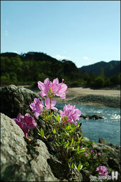 DSCF6327.jpg