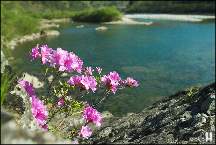 DSCF6329.jpg