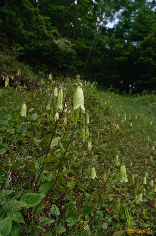 DSC_7144.jpg