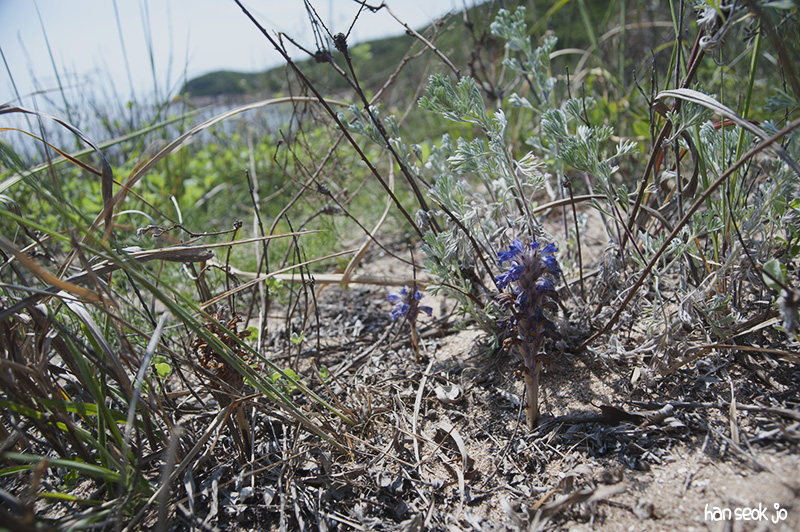 HSJ_5107.jpg