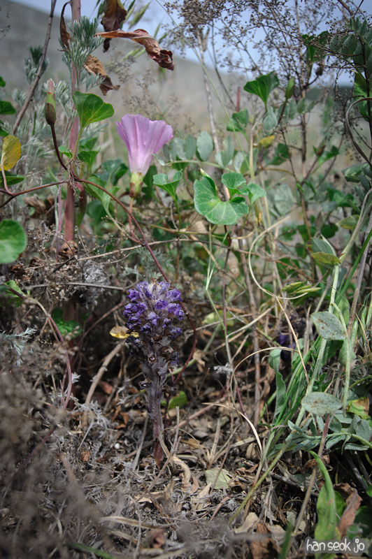 HSJ_3849.jpg