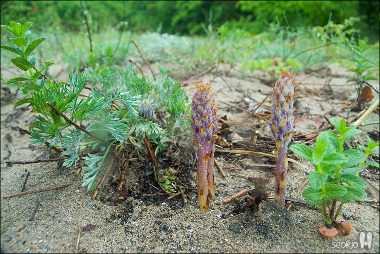 DSCF8860.jpg