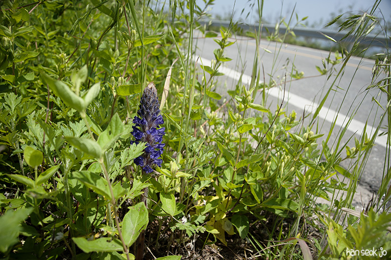 HSJ_4343.jpg
