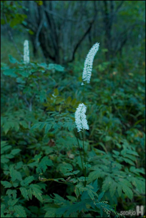 DSCF3849.jpg