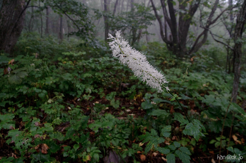DSC_3576.jpg