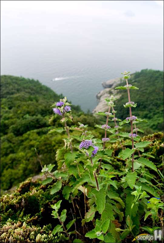 DSCF5471.jpg