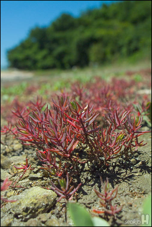 DSCF8179.jpg