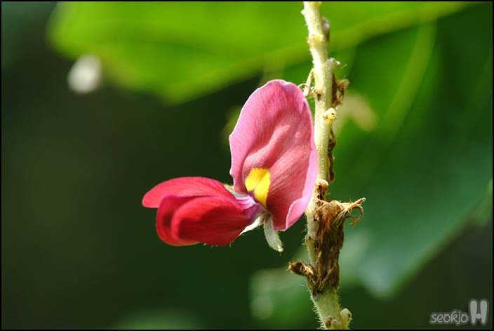 DSCF1252.jpg