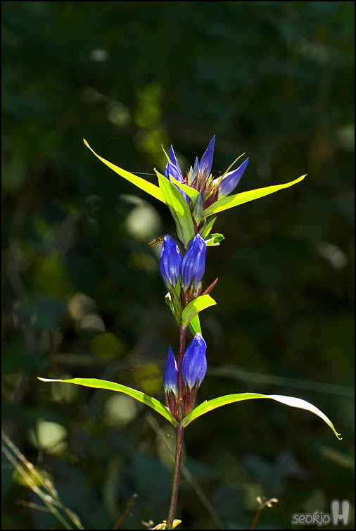 DSCF3895.jpg