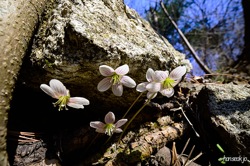 DSC_1819.jpg
