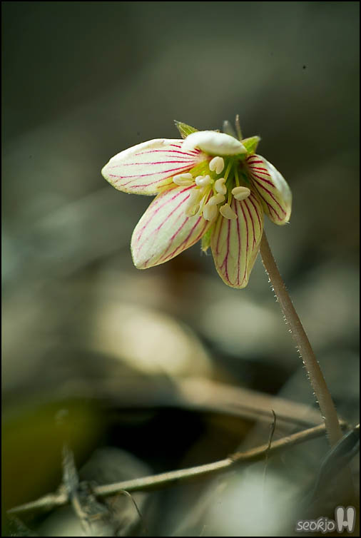 DSCF6870.jpg