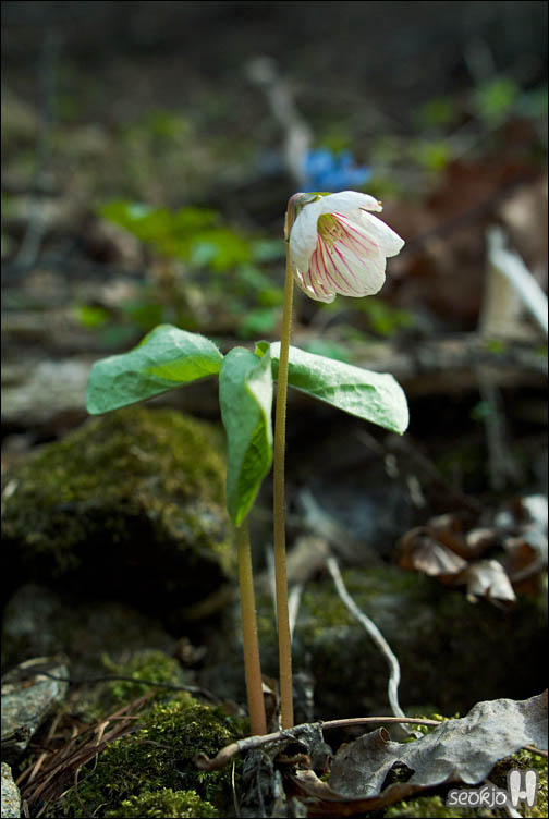 DSCF7034.jpg