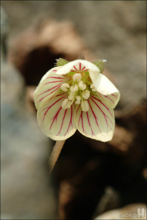 DSCF2261.jpg