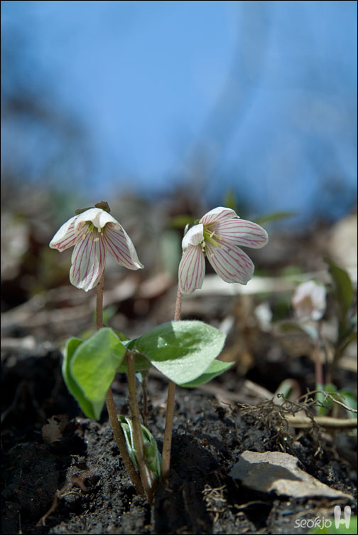 DSCF7511.jpg