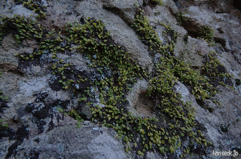 DSC_6669.jpg