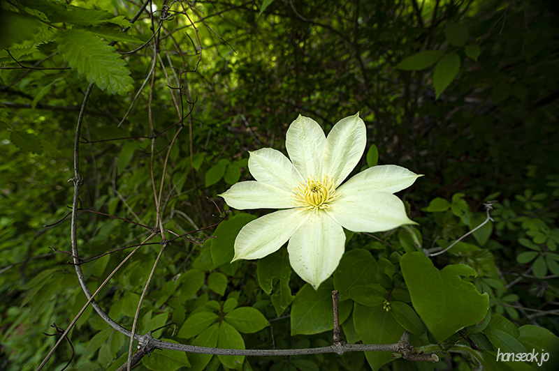DSC_5083.jpg
