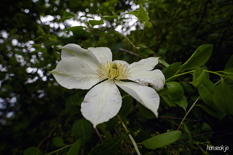 DSC_2626.jpg