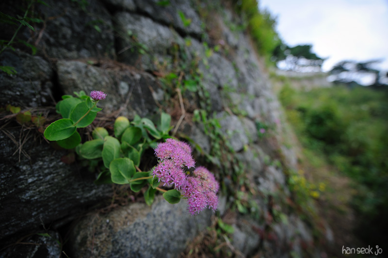 HSJ_5028.jpg