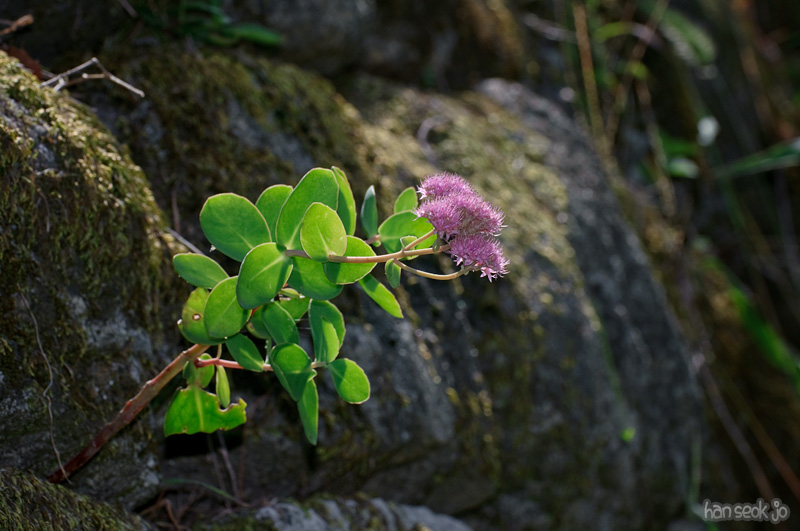 DSC_3924.jpg