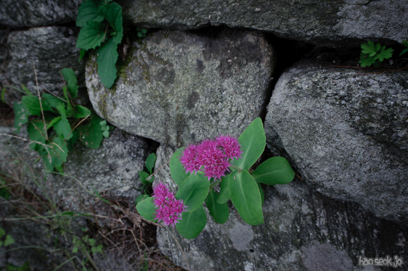 HSJ_0999.jpg