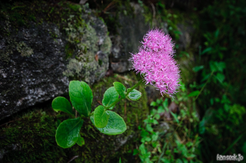 DSC_8379.jpg