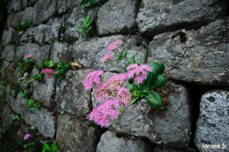 DSC_8399.jpg