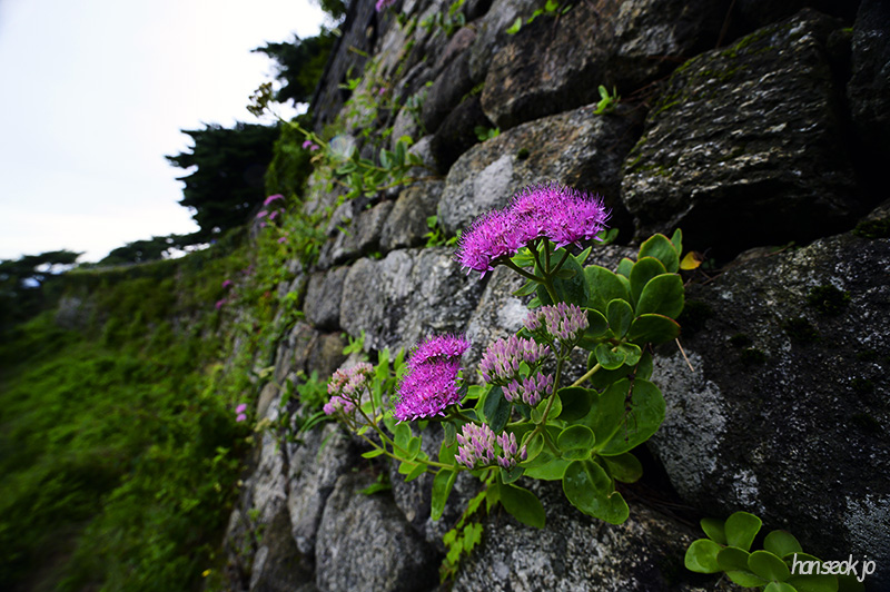 DSC_4415.jpg