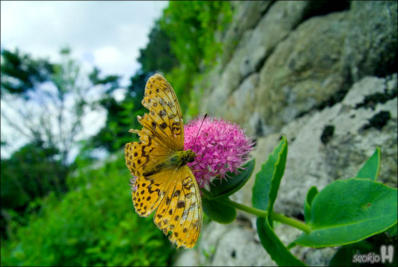 DSCF5398.jpg