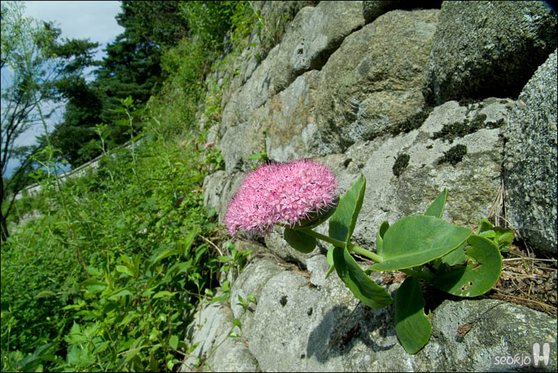 DSCF5385.jpg