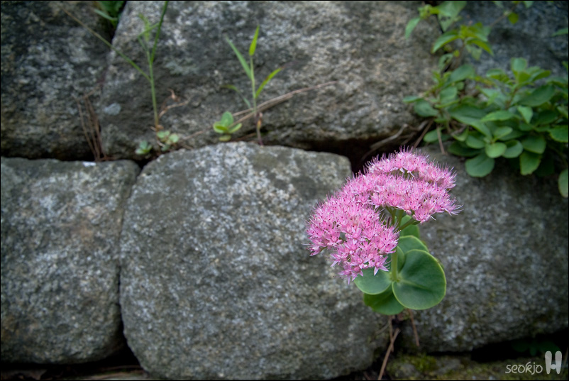 DSCF1072.jpg