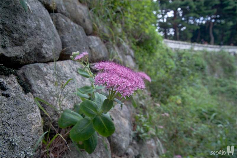 DSCF1077.jpg