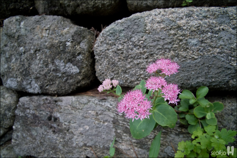 DSCF1082.jpg