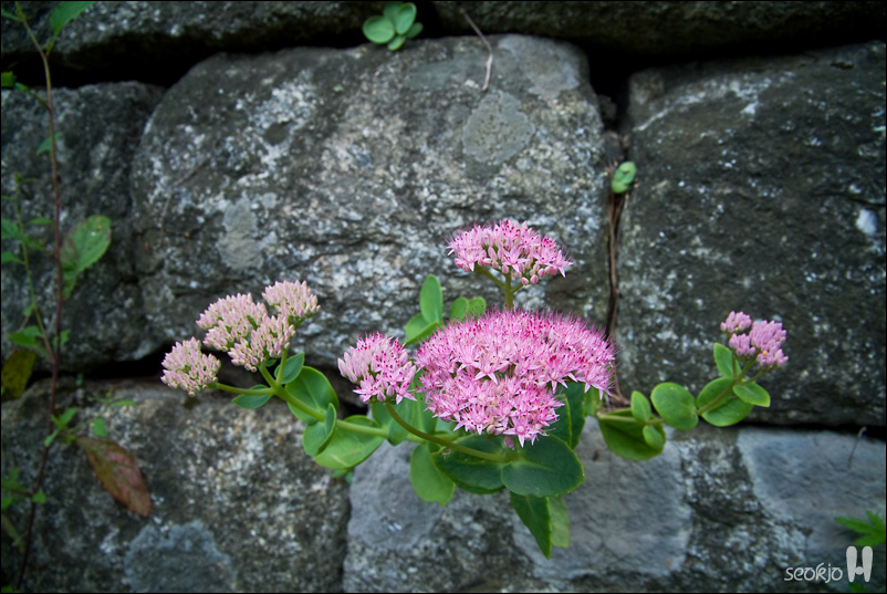 DSCF1073.jpg