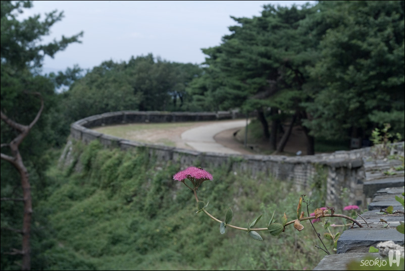 DSCF1095.jpg