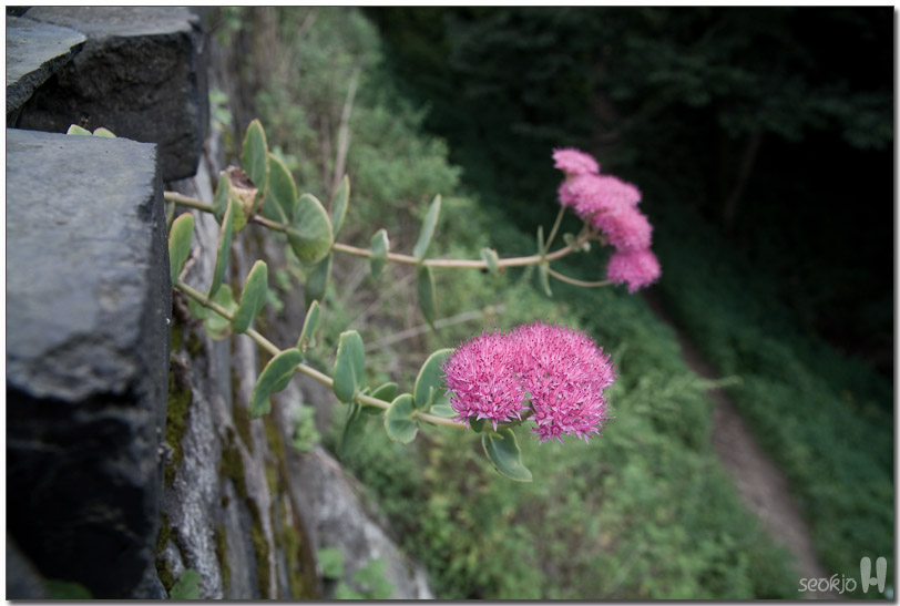 DSCF1089.jpg