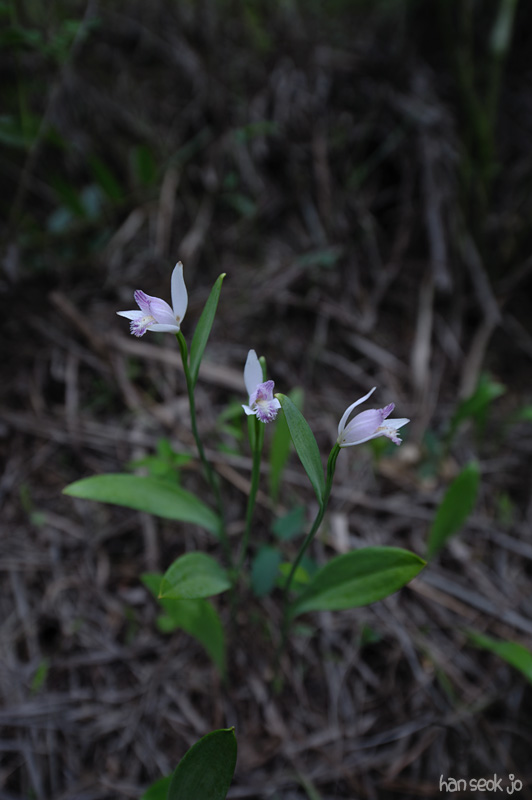 HSJ_3587.jpg