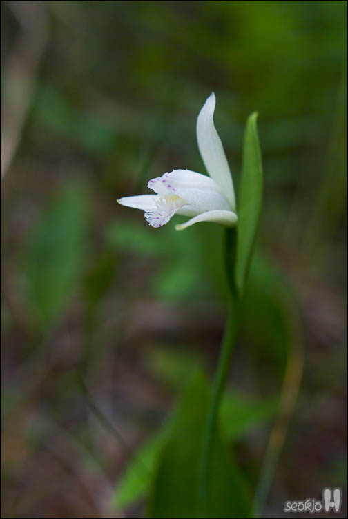 DSCF9325.jpg