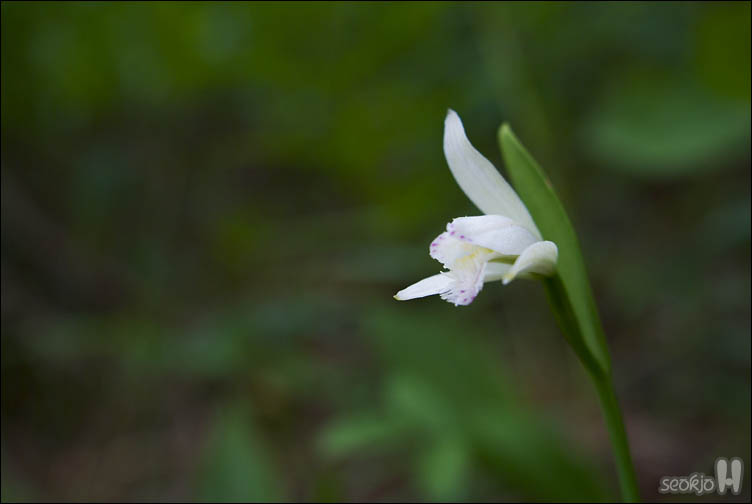 DSCF9327.jpg