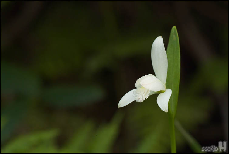 DSCF1762.jpg
