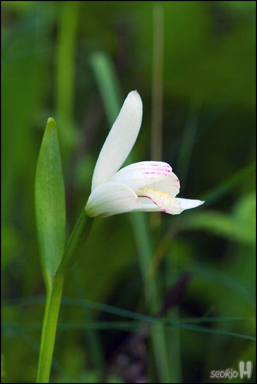 DSCF7219.jpg