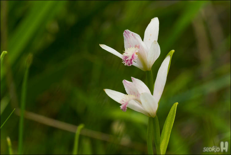 DSCF9271.jpg