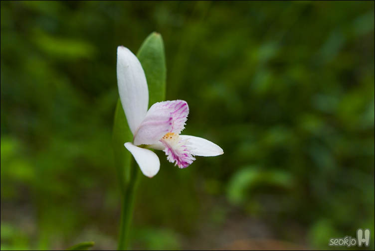 DSCF9328.jpg