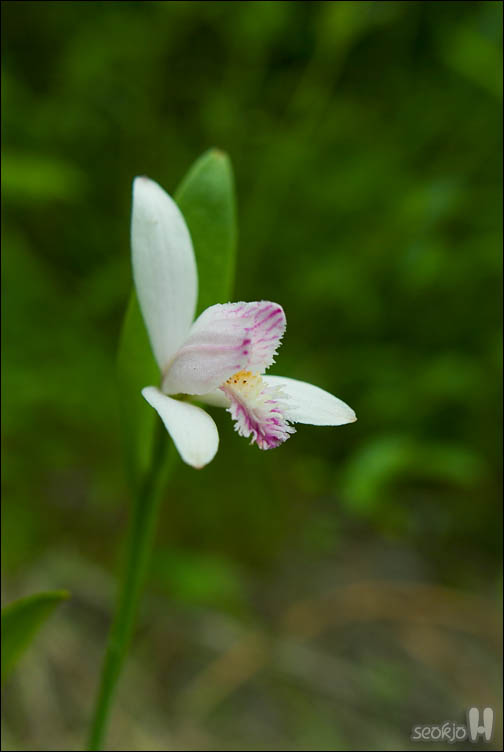 DSCF9329.jpg