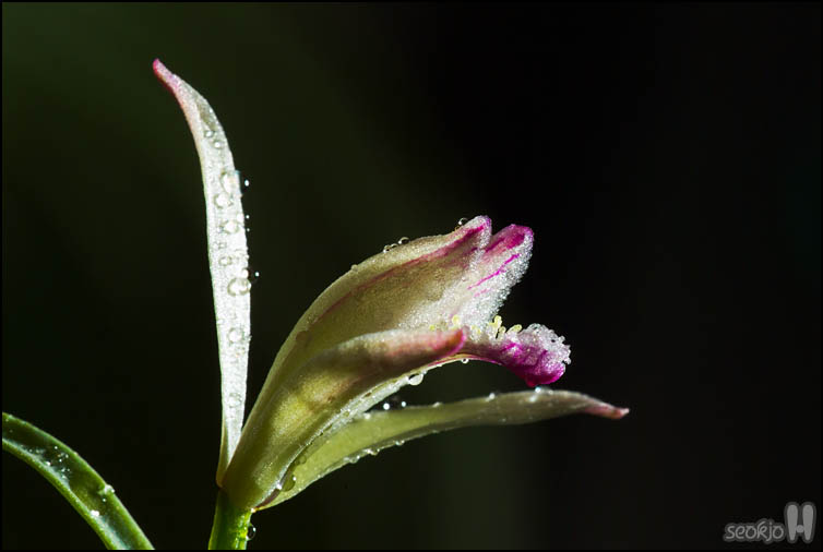 DSCF1547.jpg
