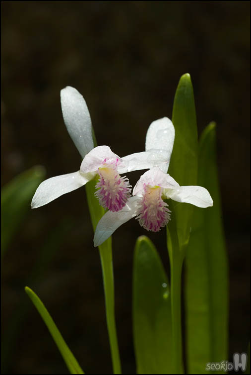 DSCF1584.jpg